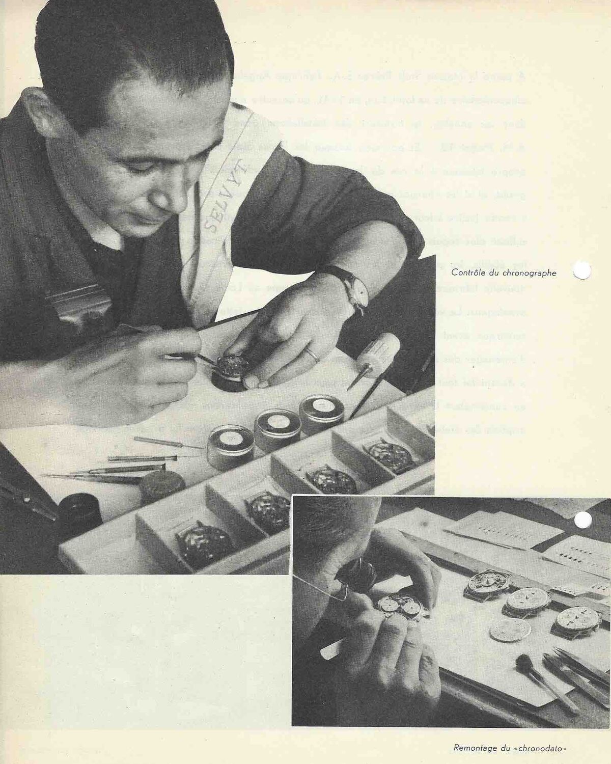 History of the Angélus brand
