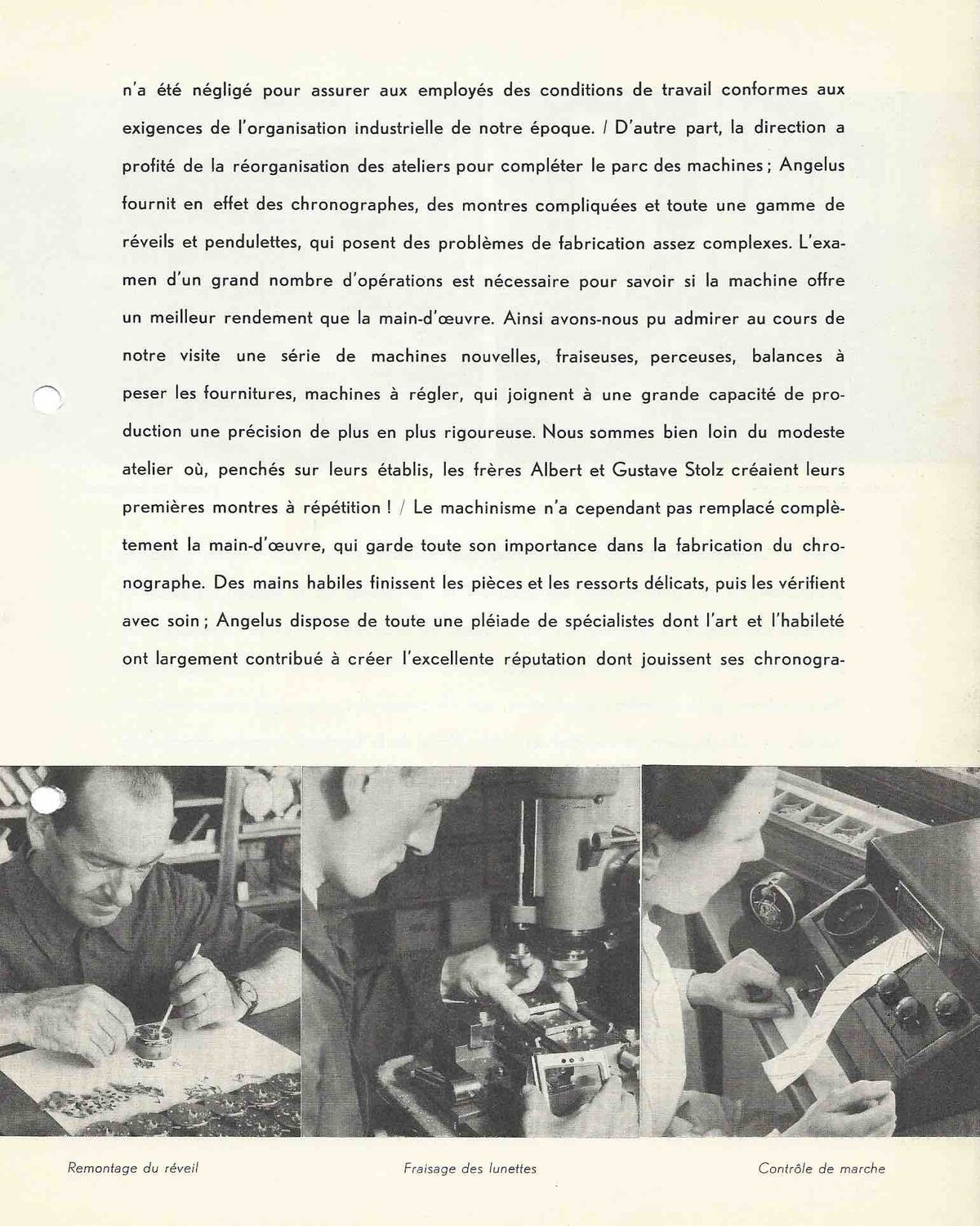 History of the Angélus brand